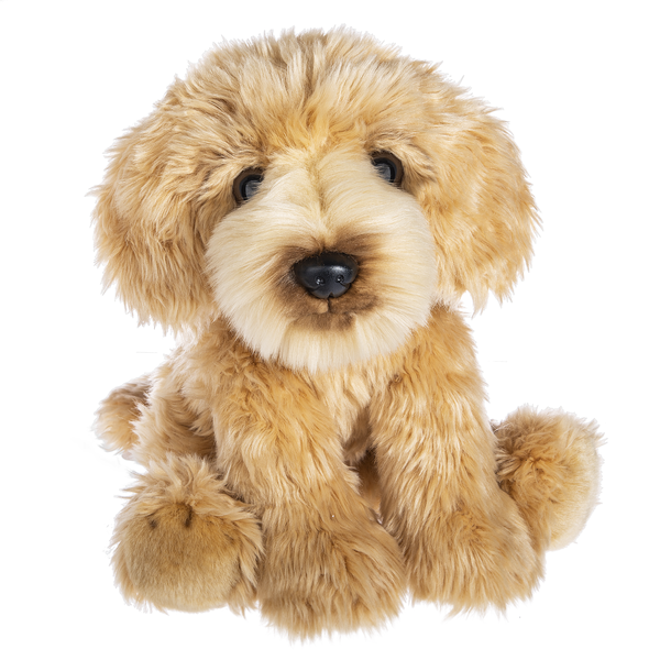 Heritage Labradoodle